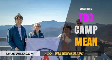 Understanding 'Too Camp': Decoding the Meaning and Cultural Significance