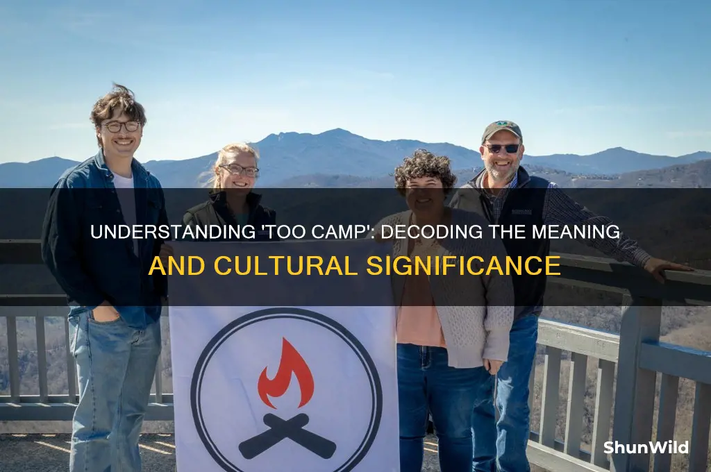 what does too camp mean