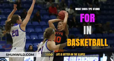 TPE in Basketball: Understanding the True Performance Equation
