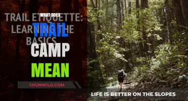 Understanding Trail Camp: A Beginner's Guide to Outdoor Adventure Basics