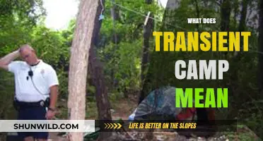 Understanding Transient Camps: Definition, Purpose, and Impact on Communities