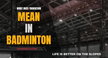 Badminton Transition: The Art of Seamless Movement
