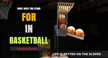 TRB in Basketball: What Does It Mean and Why It Matters