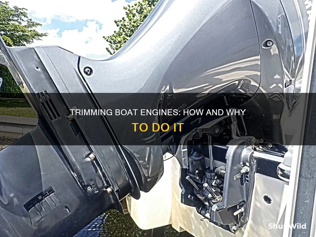 what does trimming a boat engine