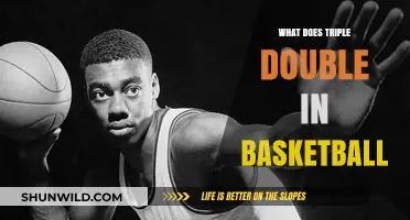 Basketball Basics: Understanding Triple-Doubles