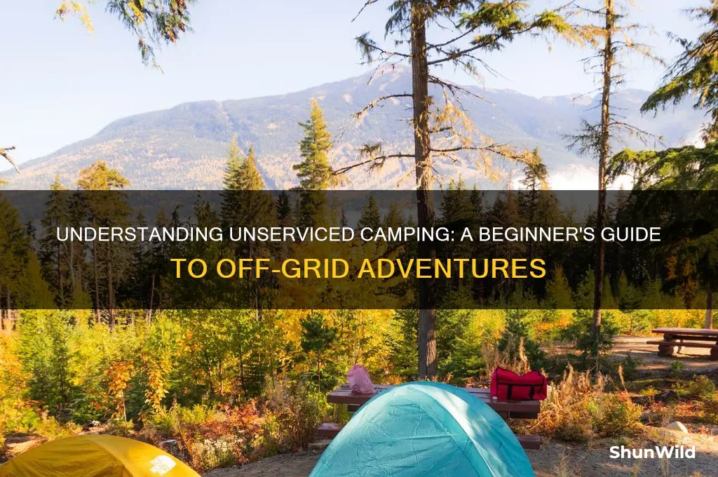 what does unserviced camping mean