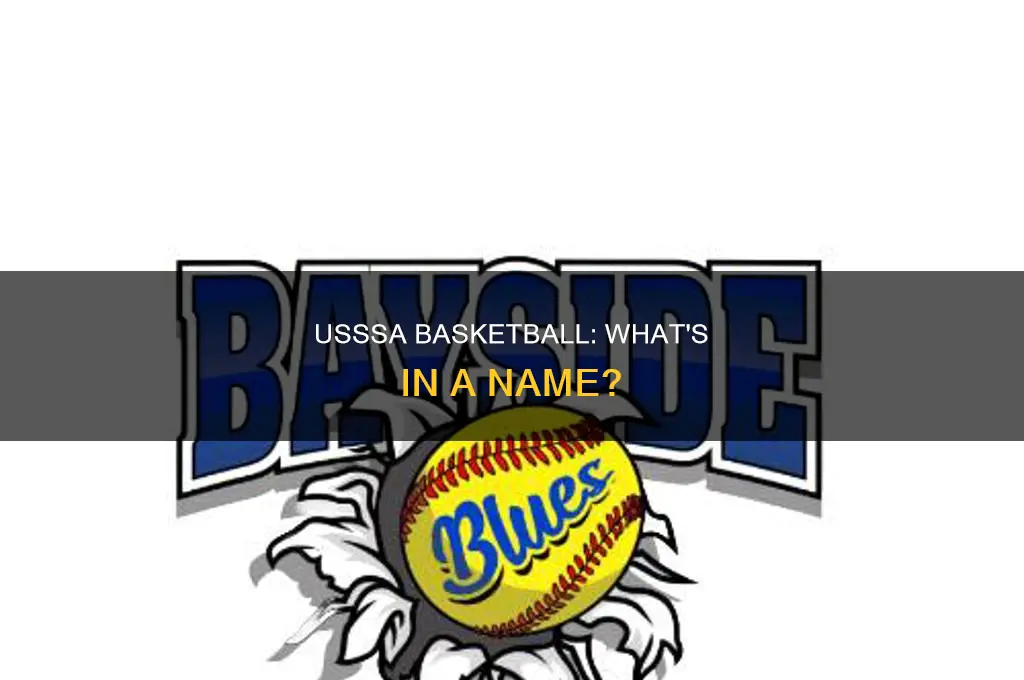 what does usssa basketball stand for