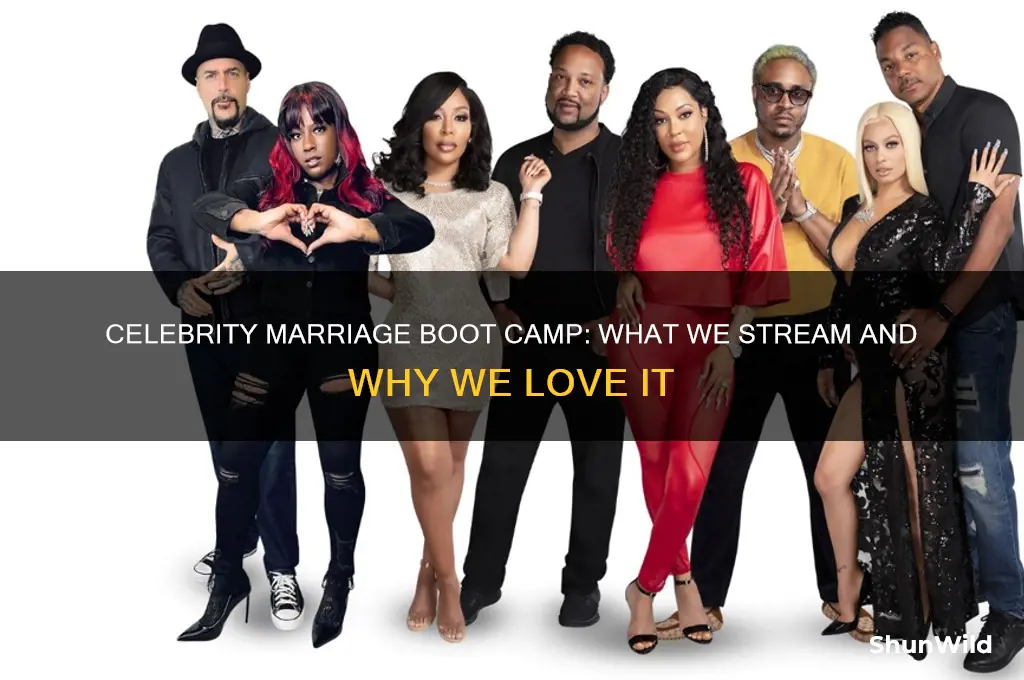 what does we stream on celebrity marriage boot camp
