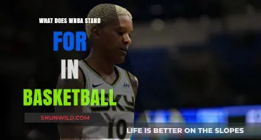 WNBA: What Does This Acronym Mean in Basketball?