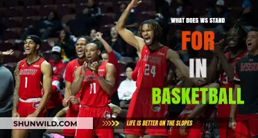 The Meaning of WS in Basketball