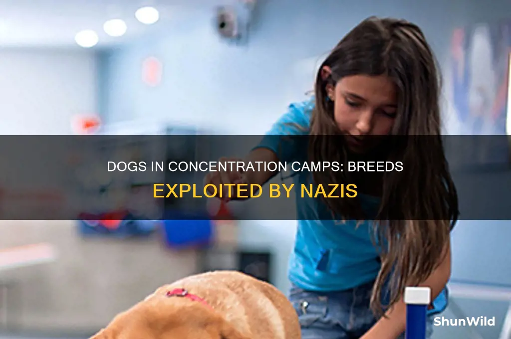 what dogs were used in concentration camps