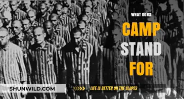 Unveiling the Meaning: What Does CAMP Stand For and Why It Matters