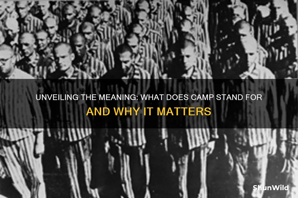 what dors camp stand for