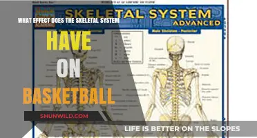 Skeletal System: Basketball Performance and Injury Prevention