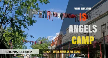 Discovering Angels Camp's Elevation: A Guide to Its Altitude