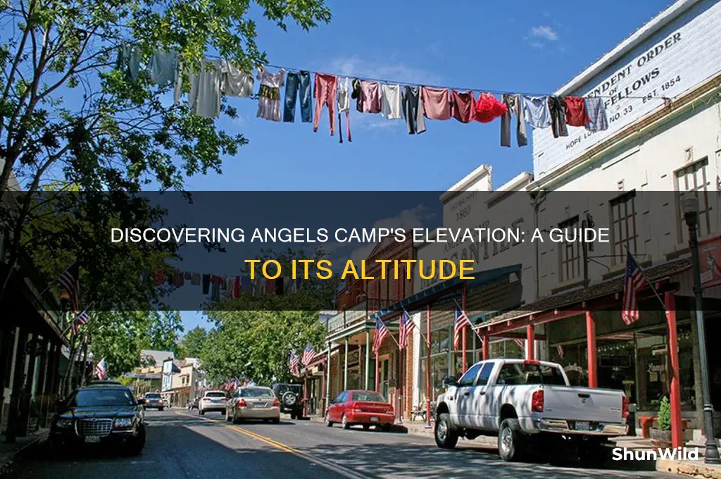 what elevation is angels camp