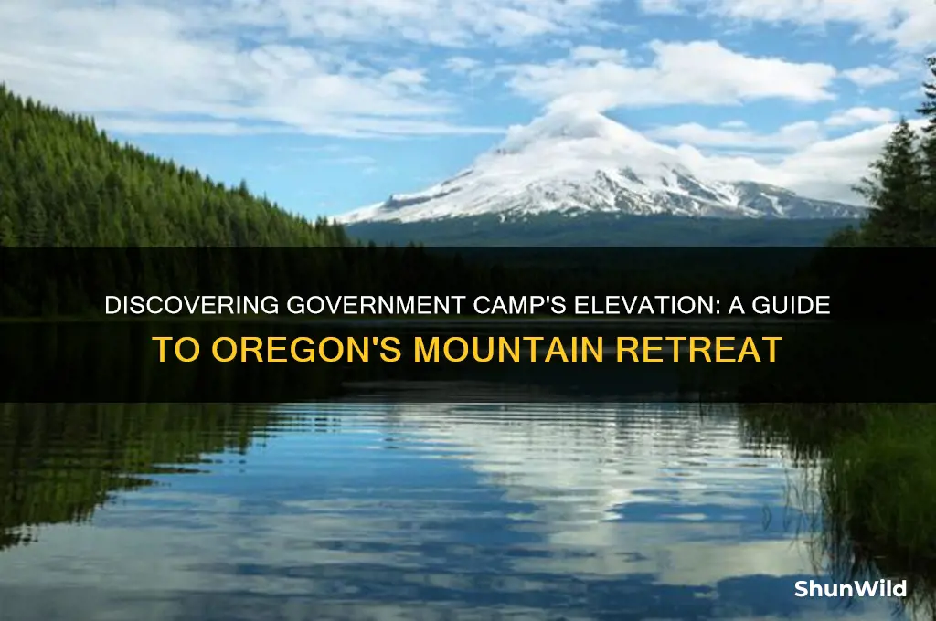 what elevation is government camp