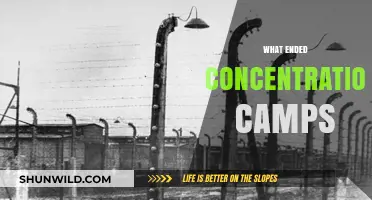 Liberation and Closure: The End of Concentration Camps Explained