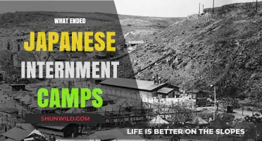 Ending Japanese Internment: The Road to Freedom and Justice