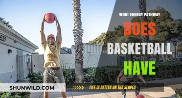 Explosive Energy Pathways in Basketball