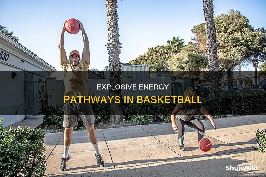 what energy pathway does basketball have