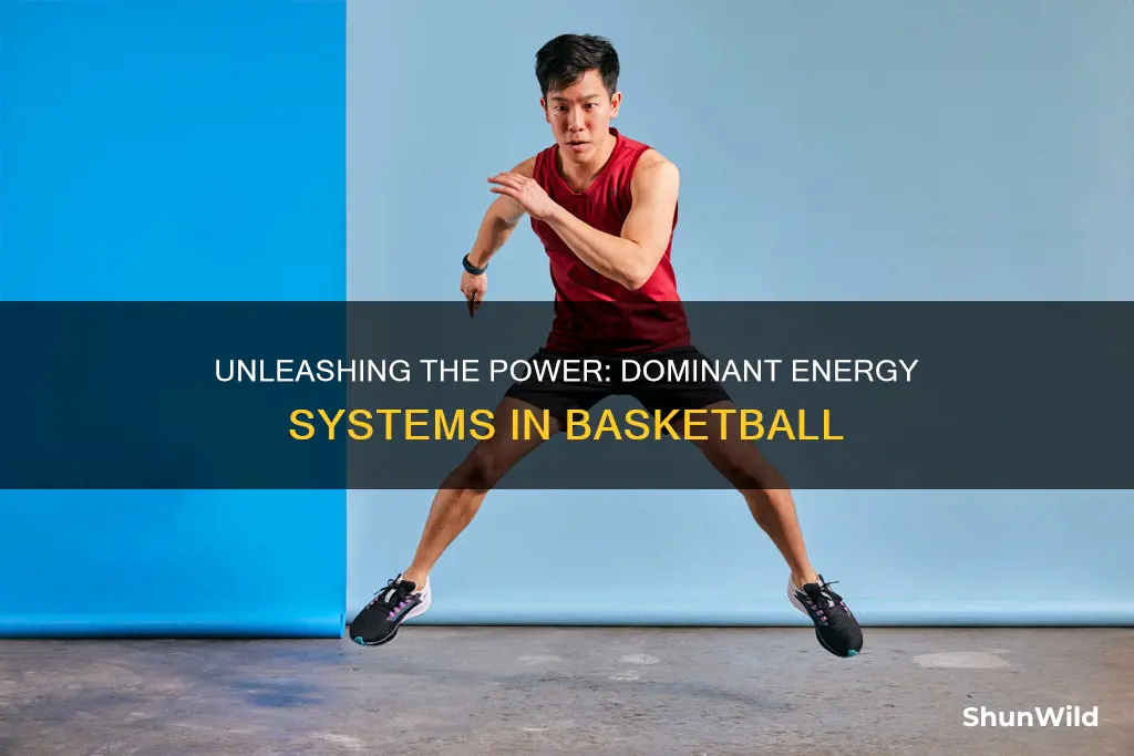 what energy system is primarily used in basketball