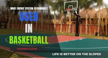 Energy Systems in Basketball: Unlocking Athletic Performance
