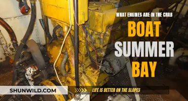 The Summer Bay's Engine Power: Secrets Under the Hood