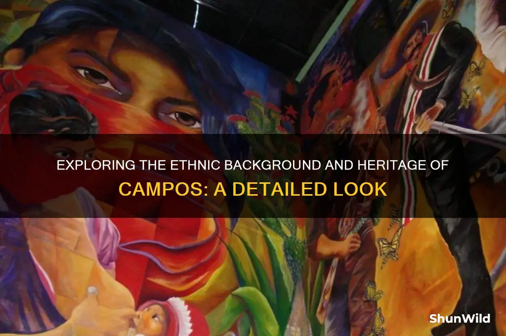 what ethnicity is campos
