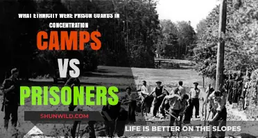 Concentration Camps: Guard Ethnicity vs. Prisoner Diversity Explored