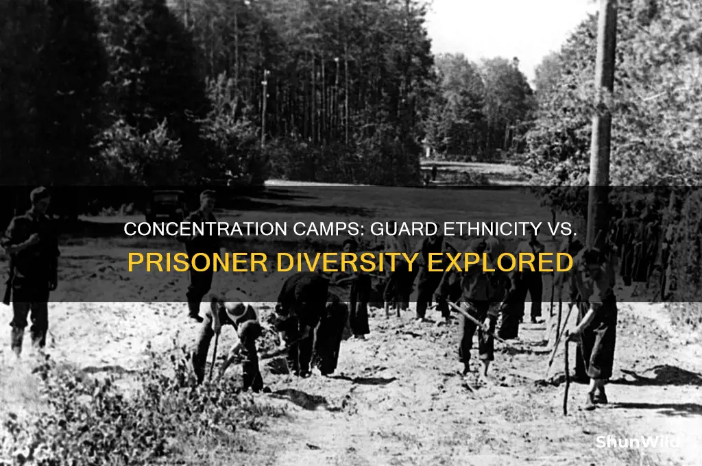 what ethnicity were prison guards in concentration camps vs prisoners