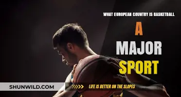 Basketball's European Hotspots: Where's the Sport's Biggest Fans?