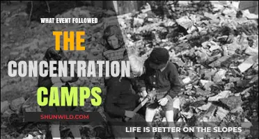 Liberation and Aftermath: Life After the Concentration Camps