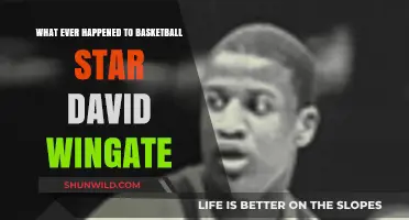 The Rise and Fall of David Wingate