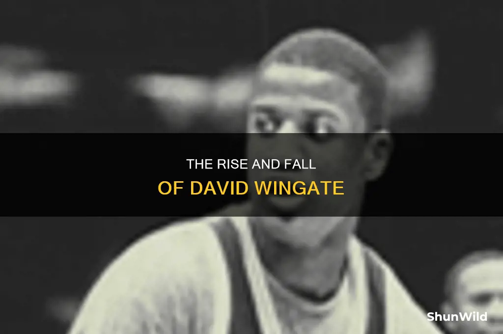 what ever happened to basketball star david wingate