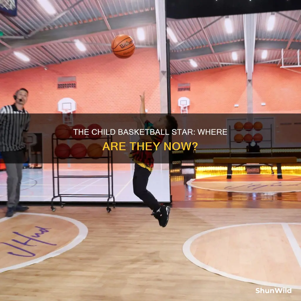 what ever happenedto the 5 year old basketball shooter