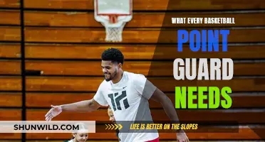 Point Guard Playbook: Secrets to Success on the Court
