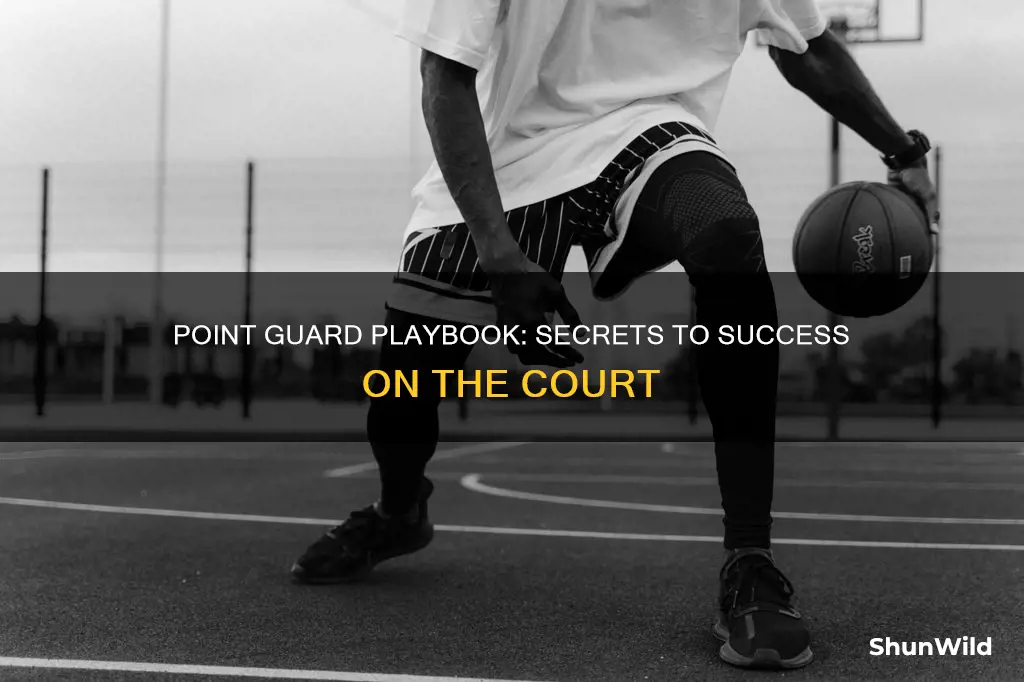 what every basketball point guard needs
