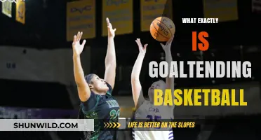 Goaltending in Basketball: What's the Foul Play?