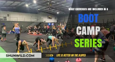 Boot Camp Series: High-Intensity Exercises for Total Body Transformation