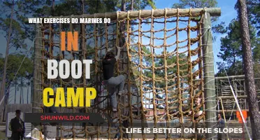 Marine Boot Camp Workouts: Intense Training Drills for Recruits