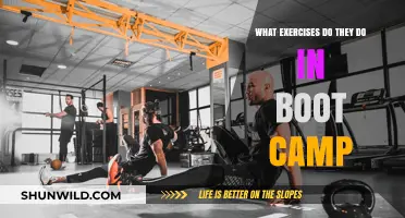 Intense Boot Camp Workouts: Unveiling the Ultimate Fitness Training Regimen