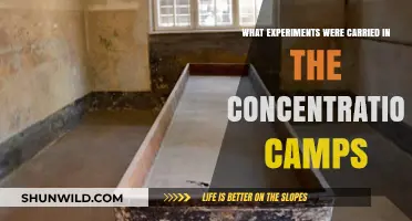 Unveiling the Horrific Experiments Conducted in Nazi Concentration Camps