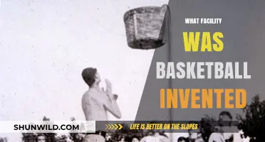 Basketball's Birthplace: A Facility for History