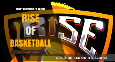 Basketball's Rise: Key Factors and Cultural Impact