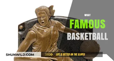 Basketball Legends: Their Rise to Fame and Legacy