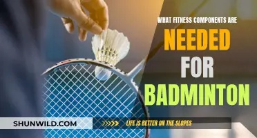 Badminton Fitness: Components for Success