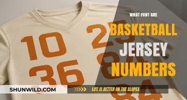 Jersey Numbers: Font Style and Basketball Identity