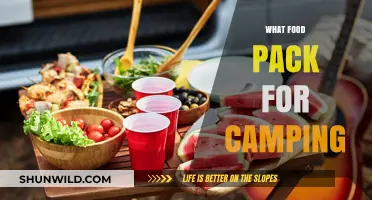 Essential Camping Food Packing Tips for Outdoor Adventures