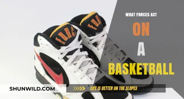 Forces That Affect Basketball's Flight
